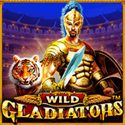 Đấu Sĩ Cừ Khôi game cover